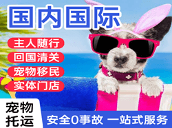 厦门高崎航空货运国际宠物托运 【国